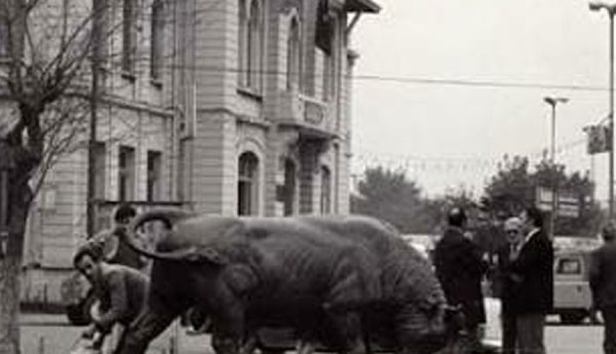 Geçmişten Gelen Hüzünlü bir Ezgi