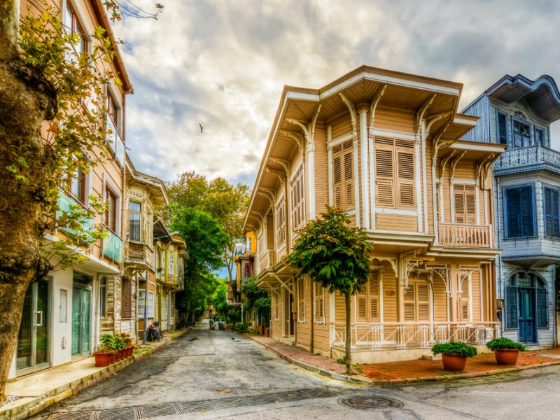 19 Nisan Pazar Aleksandır Masev ile Mimozalar arasında Büyükada Yürüyüşü