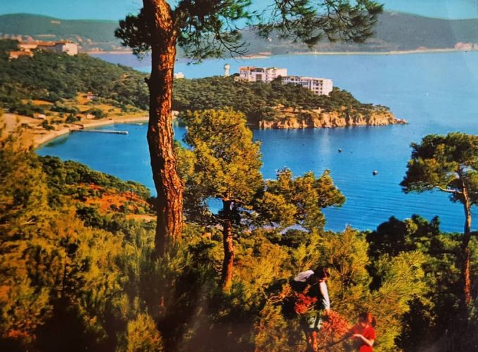 2 Ağustos Pazar Mustafa Meriç ile ile Halki’den Heybeliada’ya Bir Ada Hikayesi