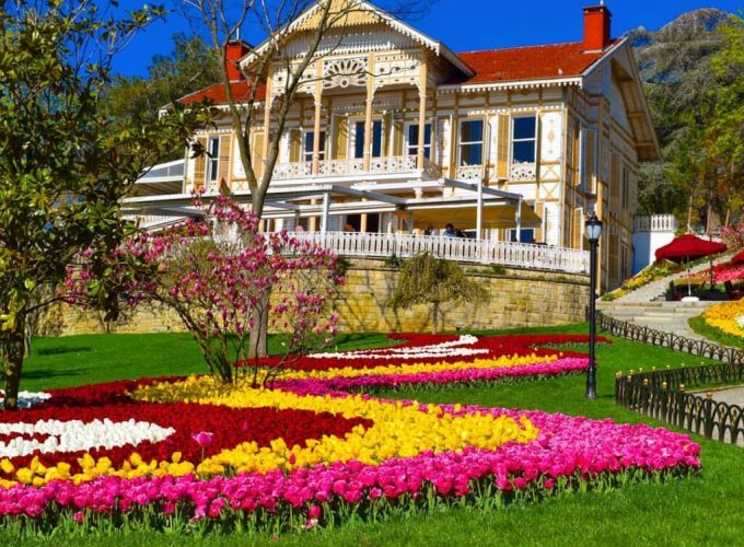 25 Nisan Cumartesi | Mustafa Meriç ile Lale Festivali Zamanında Yeniköy’den Emirgan’a