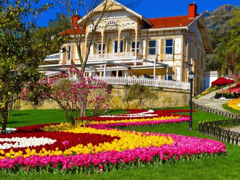 25 Nisan Cumartesi | Mustafa Meriç ile Lale Festivali Zamanında Yeniköy’den Emirgan’a