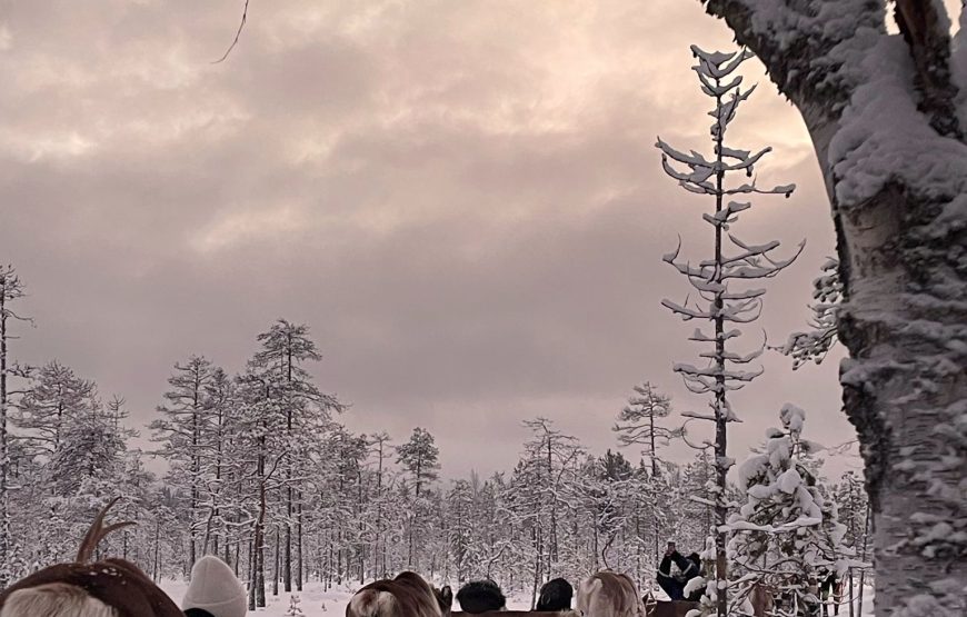 31 Ocak – 03 Şubat 2026 Cumartesi-Salı Mois Gabay ile Kuzey Işıkları Diyarı: Lapland’da Bir Masal Yolculuğu