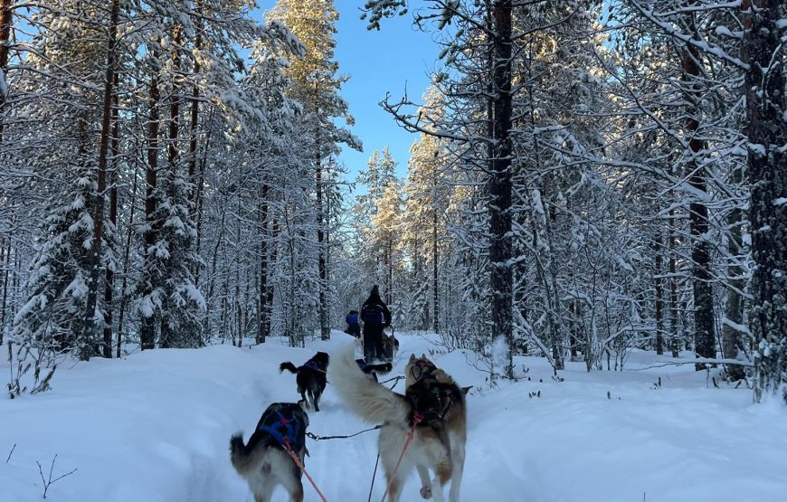 31 Ocak – 03 Şubat 2026 Cumartesi-Salı Mois Gabay ile Kuzey Işıkları Diyarı: Lapland’da Bir Masal Yolculuğu