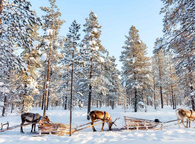 4-7 Şubat 2027 Perşembe-Pazar Mois Gabay rehberliğinde Kuzey Işıkları Diyarı: Lapland’da Bir Masal Yolculuğu
