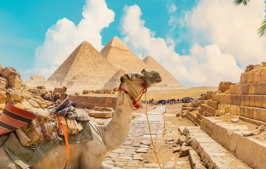 29 Ekim-1 Kasım 2026 Aleksandır Masev ile Mısır’da Zamanın Katmanları; İskenderiye’den Kahire’ye Uzanan Kültür Rotası