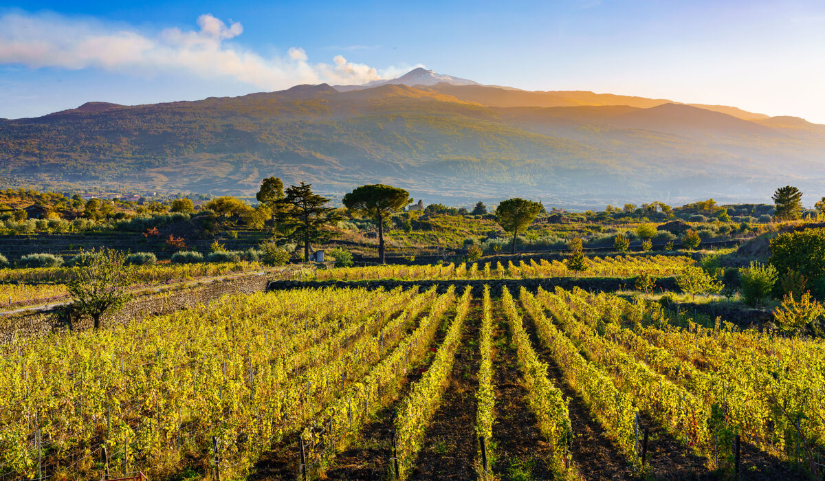 2. Gün | Taormina ve Etna Bağları 