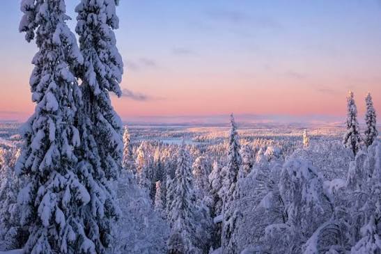 4.	Gün Rovaniemi – İstanbul 