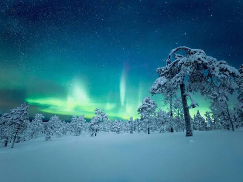 23-26 Ocak 2027 Mois Gabay rehberliğinde Kuzey Işıkları Diyarı: Lapland’da Bir Masal Yolculuğu | Ara tatil özel