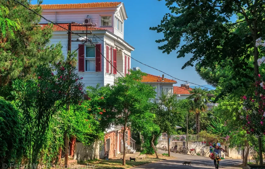 20 Eylül Pazar Hatice Eren ile Büyükada Prinkipo 2 ; Kumsal, Maden, Aya Nikola, Aya Yorgi, Nizam